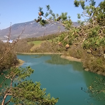 Les berges du Rhône - VALSERHONE