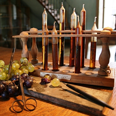 Du laboratoire au vignoble : sur les traces de Pasteur en Arbois 