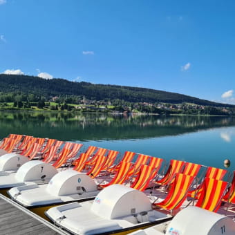 Le Spot du Lac Saint Point - SAINT-POINT-LAC