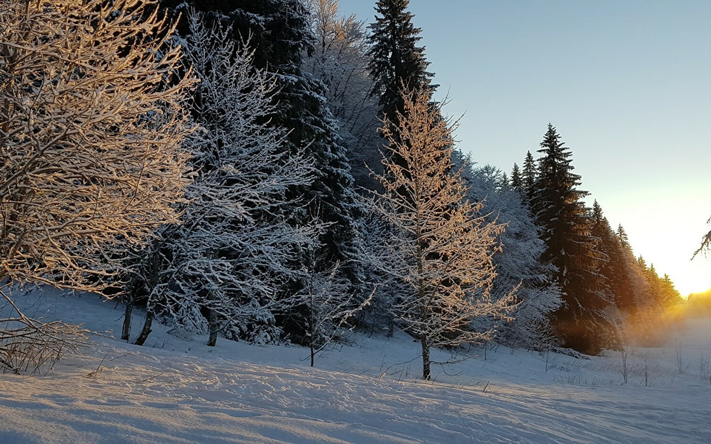 La Grande traversée du Jura à ski de randonnée nordique - GTJ à ski de randonnée nordique