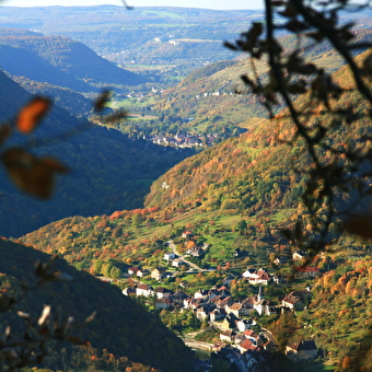 Moine de la Vallée - N°29 - ORNANS