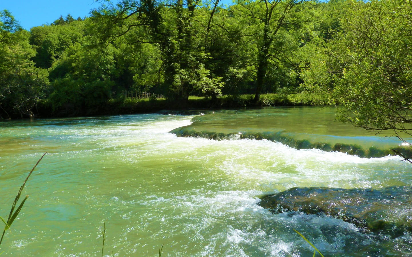Cartes de pêche Doubs et Cusancin