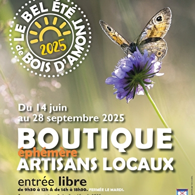 Ateliers 'Le bel été de Bois d'Amont'