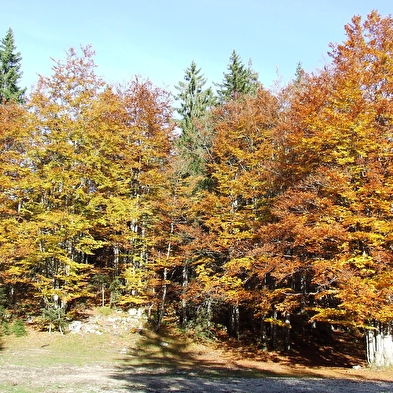 Pré d'Haut