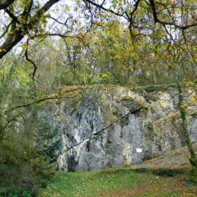 Site naturel ' La clairière des petits lapins'