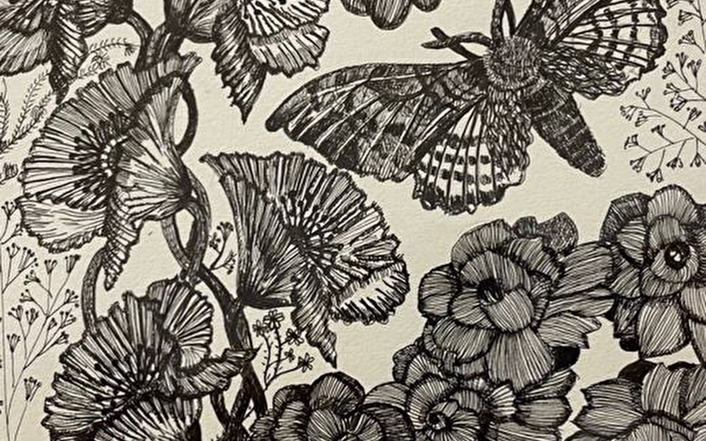 Exposition de Catherine Junod à la Maison des Ateliers