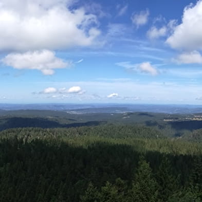 Le Crêt de Chalam