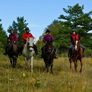 Centre Equestre de Lavant