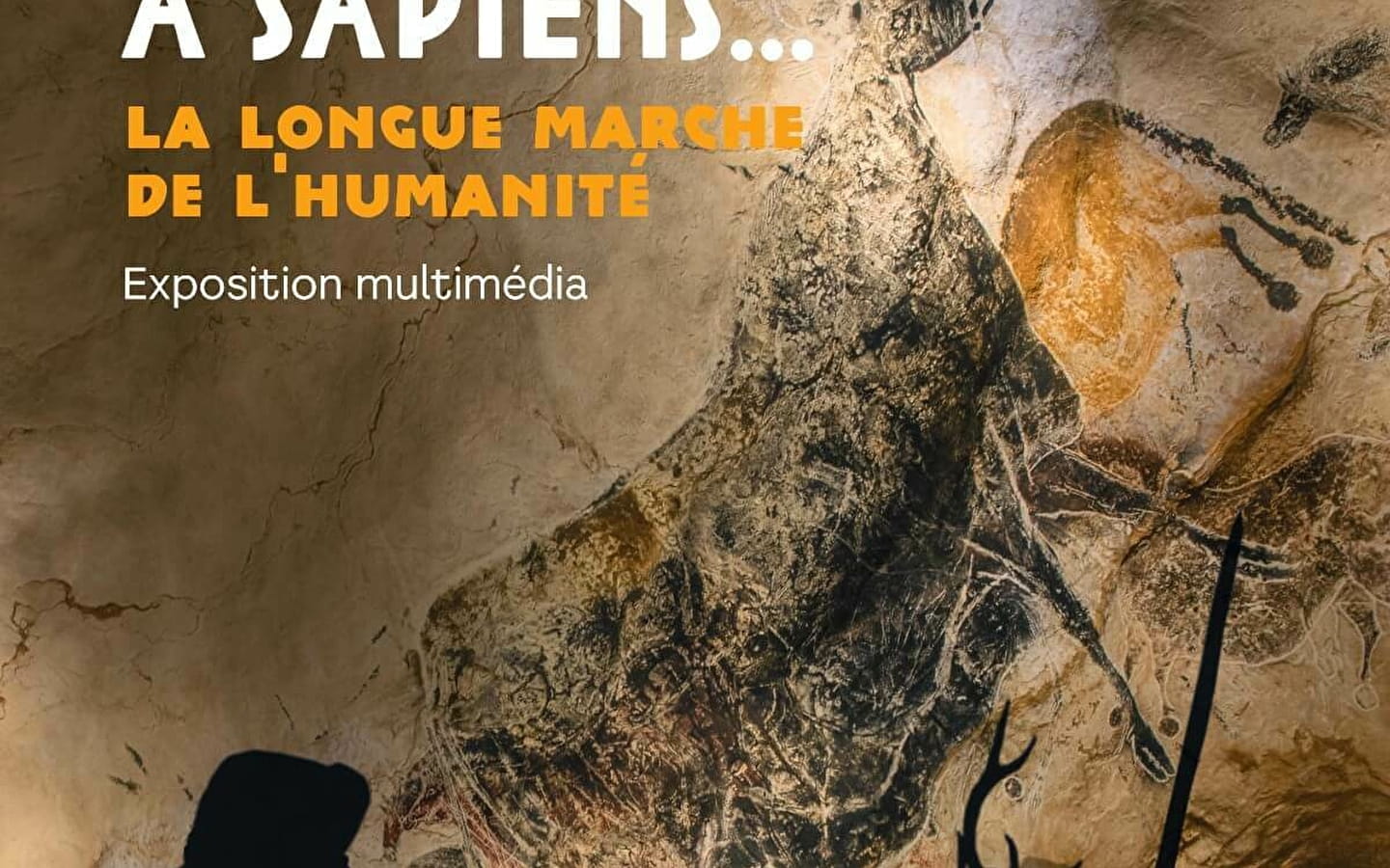De Toumaï à Sapiens