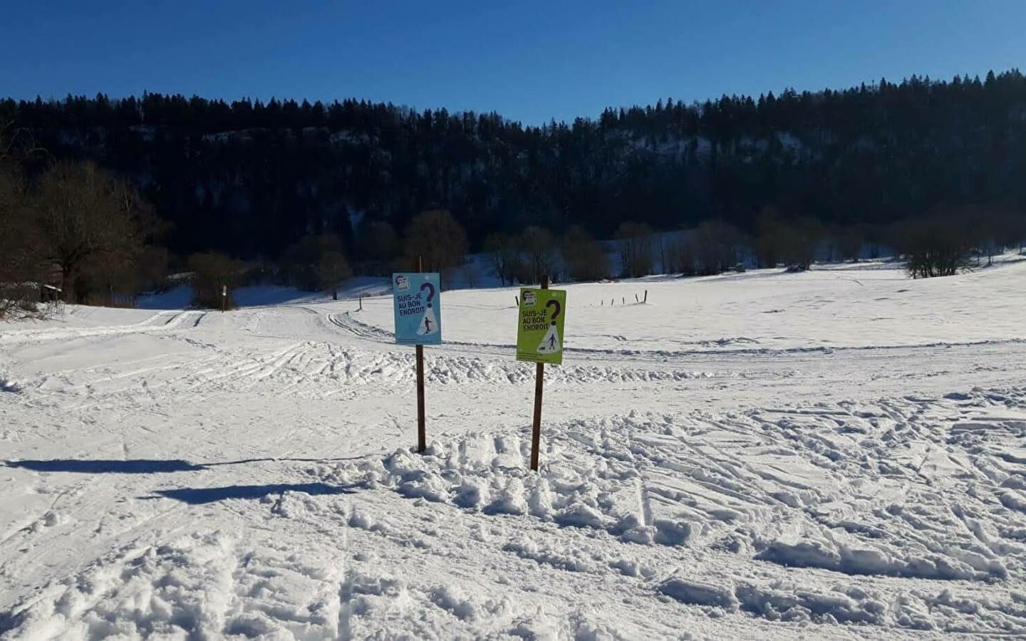 Boucle du Coquiniet - Piste jaune de ski nordique