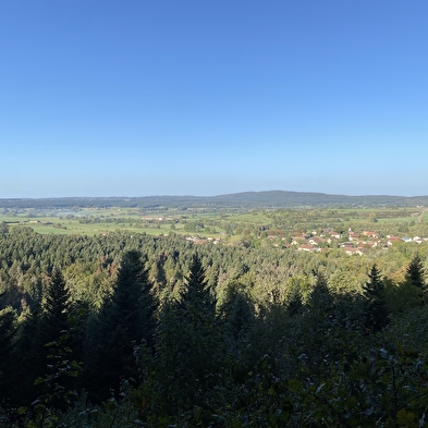 La Route des Sapins