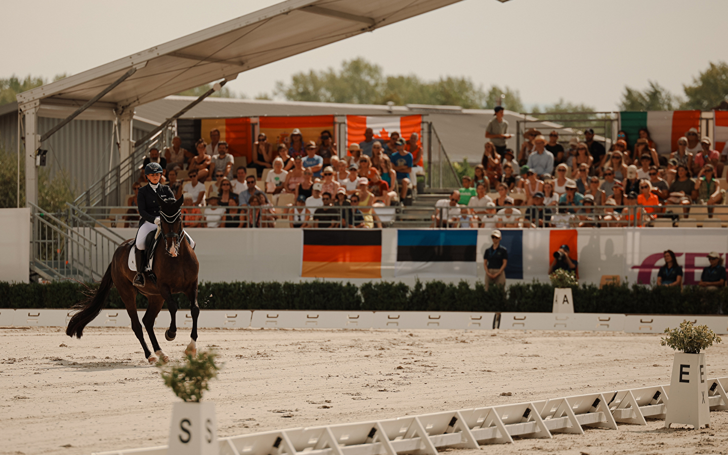 Championnat d’Europe de Dressage FEI Crozet 2025