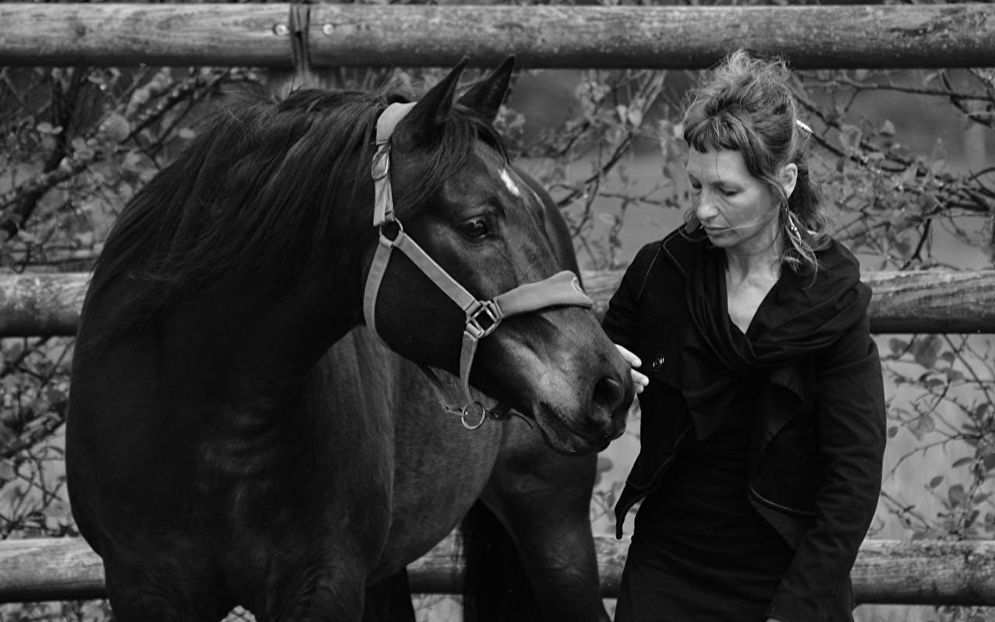 VOYAGE AU PAYS DU CHEVAL