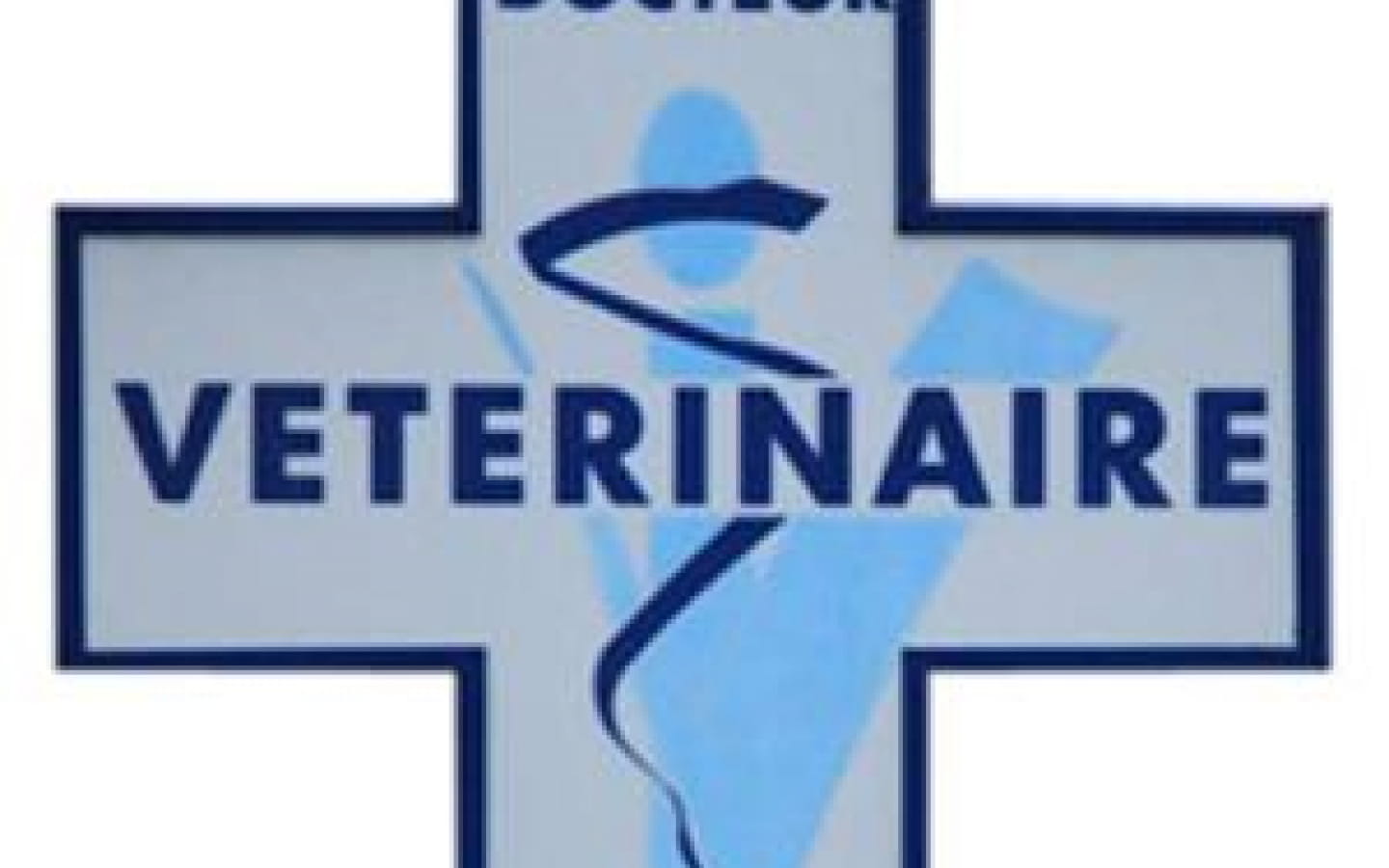 Scp veterinaires des coteaux arboisiens