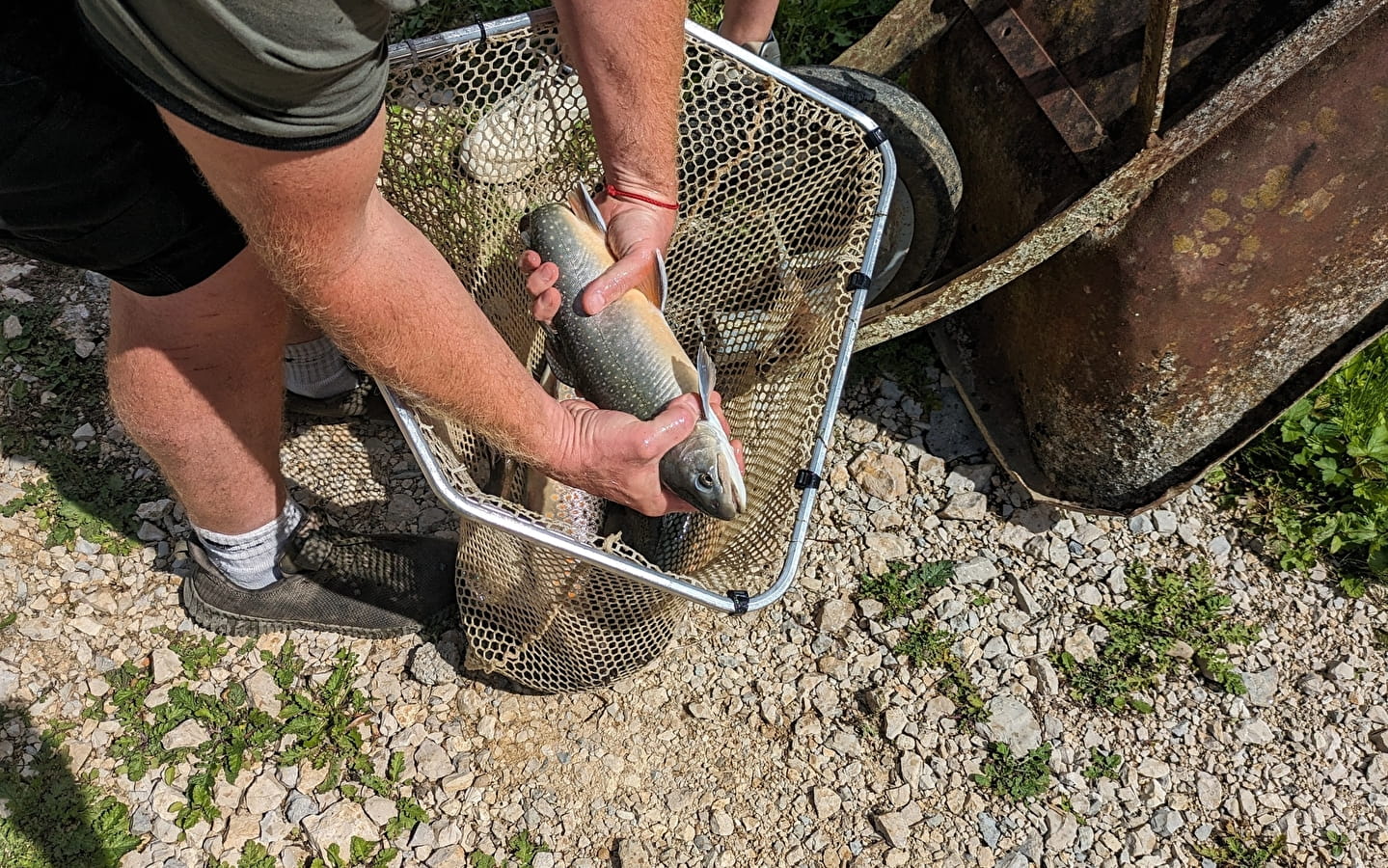 Cartes de pêche Doubs et Cusancin