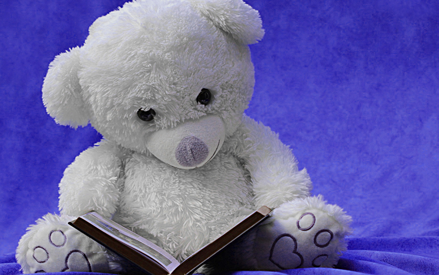 Rendez-vous contes de Noël