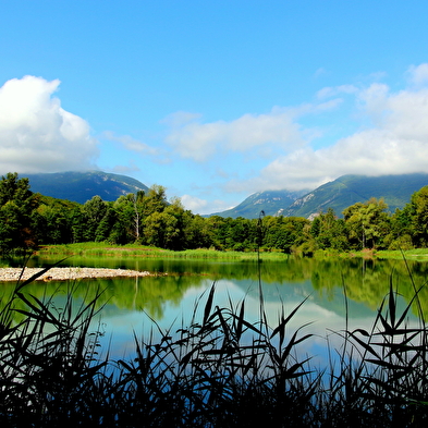 Le Marais de l'Etournel