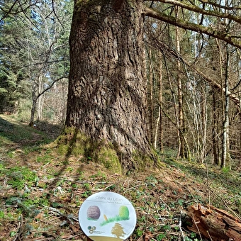 Arboretum d'Ardon - VALSERHONE