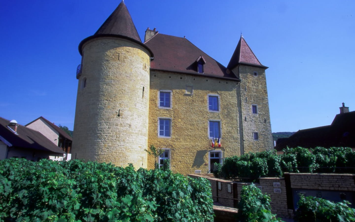 Musée de la Vigne et du Vin du Jura