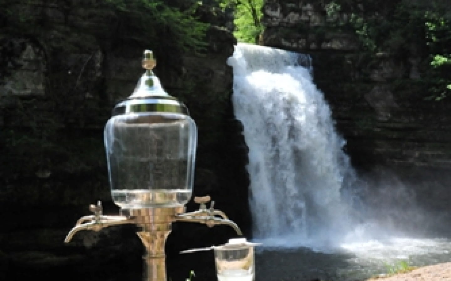 L'Absinthe - Restaurant du Saut du Doubs