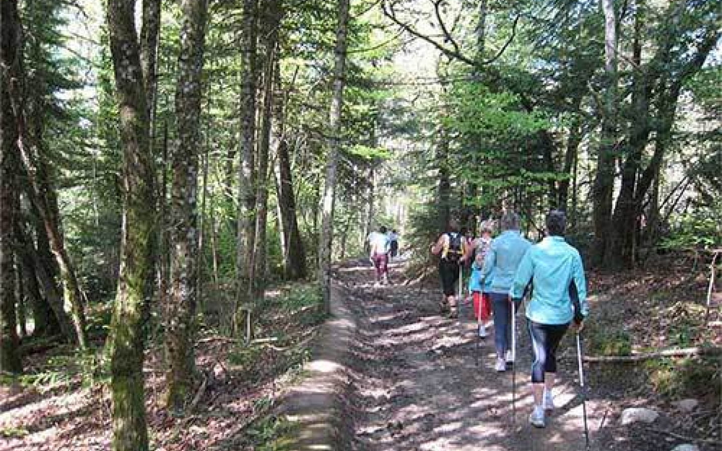 Marche nordique avec Didier Marinet
