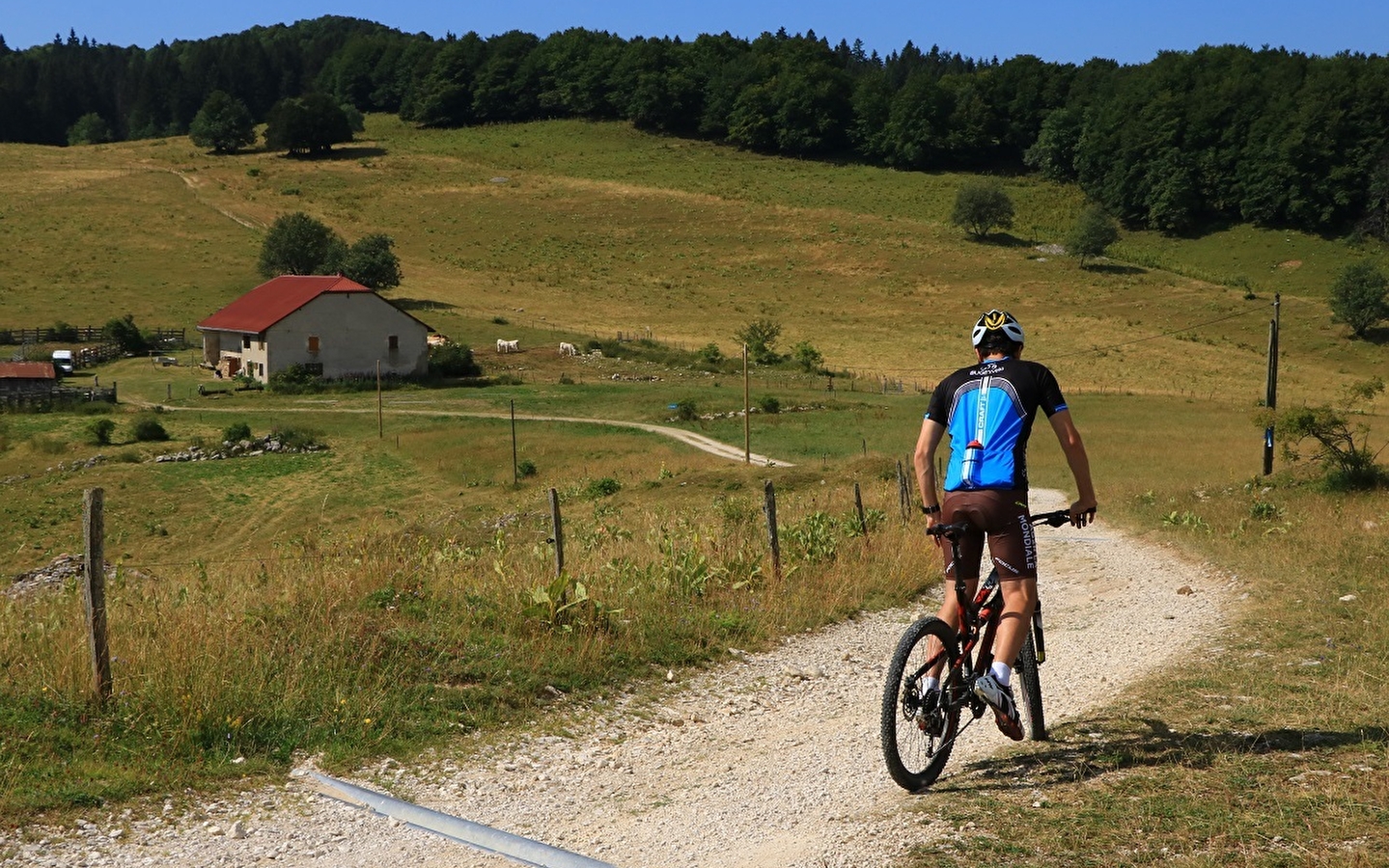 Parcours VTT 12 vert - Les balcons des Plans - Espace FFC Ain Forestière
