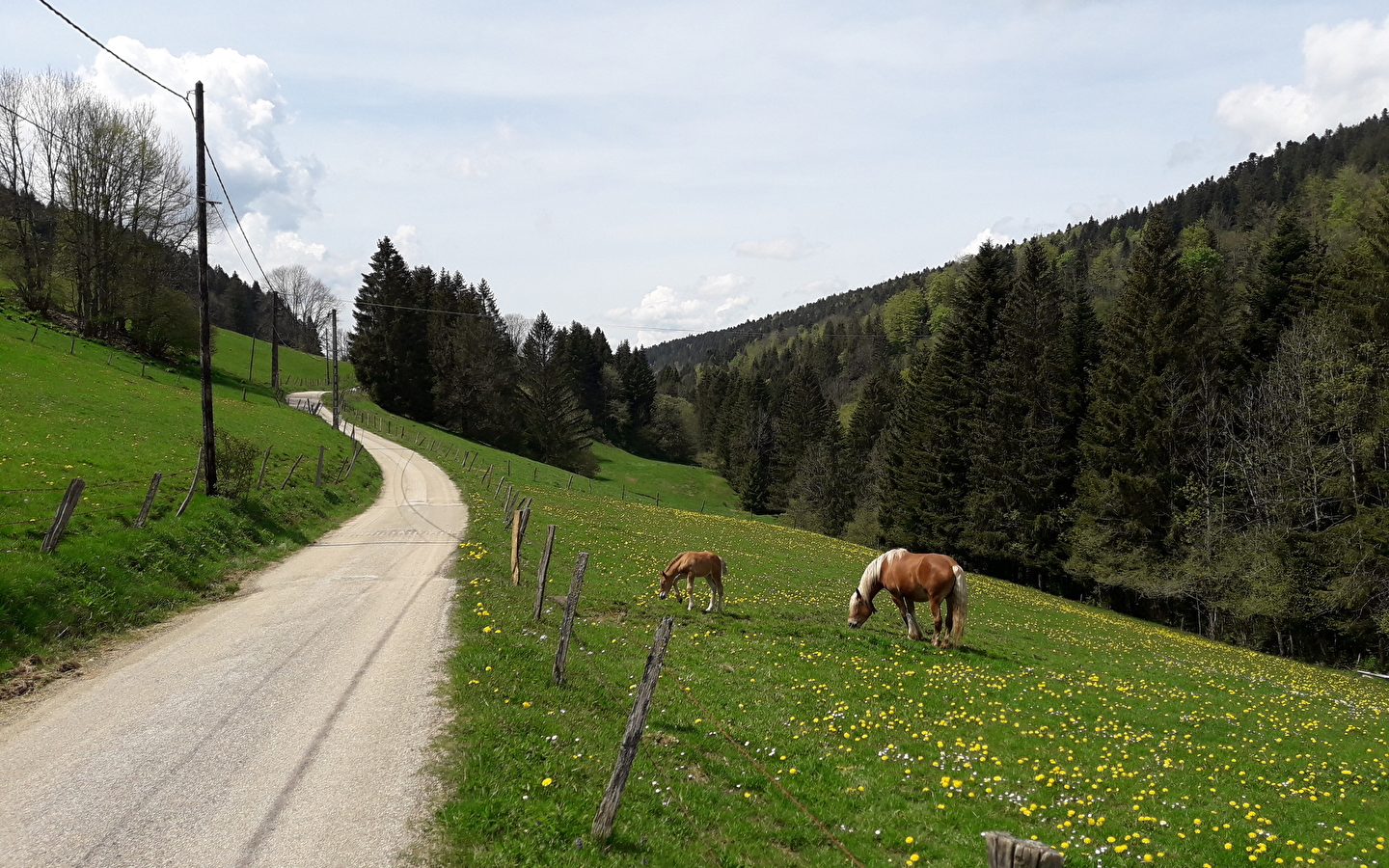 Tour du Grand Taureau