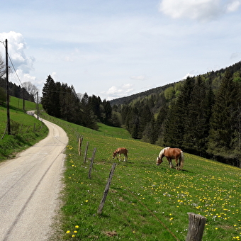 Tour du Grand Taureau - PONTARLIER
