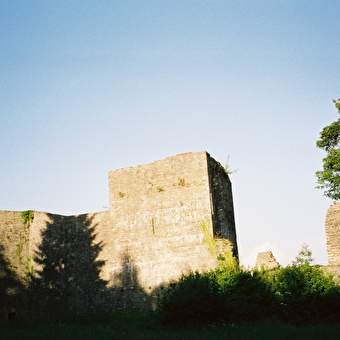 Le Château de Présilly - 34B - ORGELET