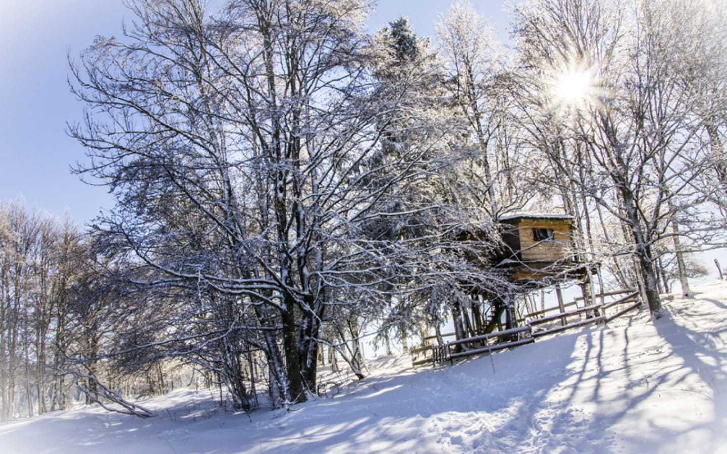 Les Loges du Coinchet - Cabane perchée