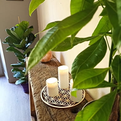 Jur'Harmonie leetherapie