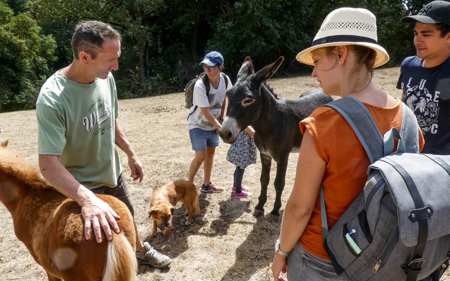Stages à la ferme du Naray