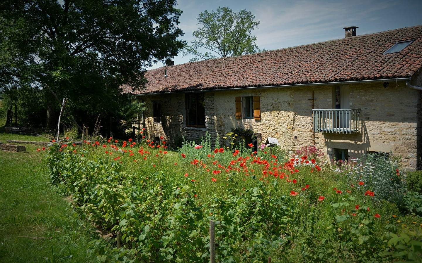 Gîte de l'Arbre-Lune