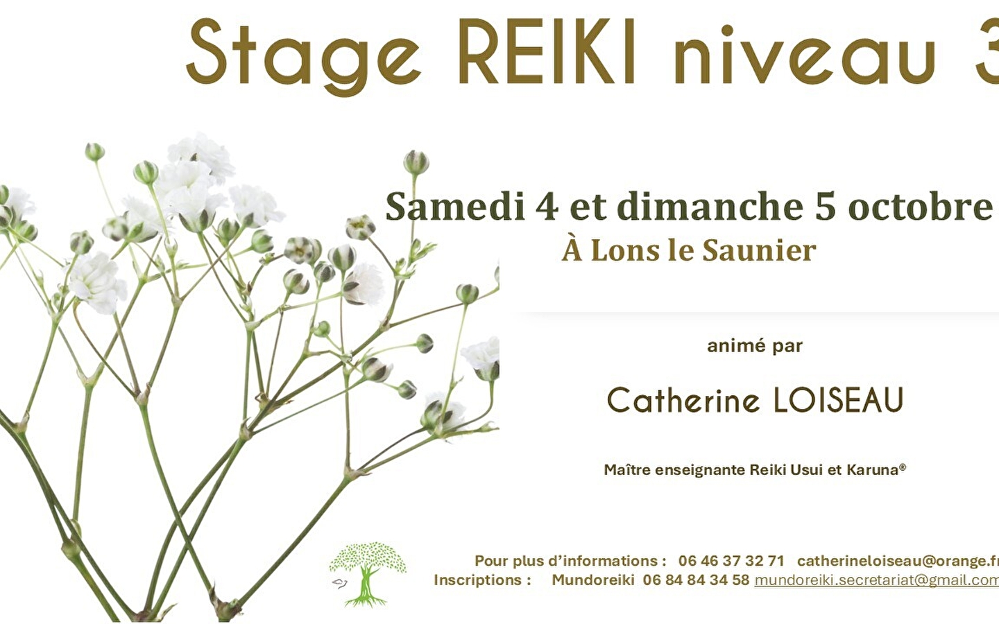 Stage de Reiki Usui niveau 3