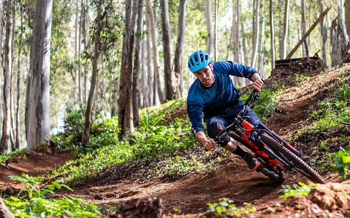 La Forestière - course vtt/cyclo