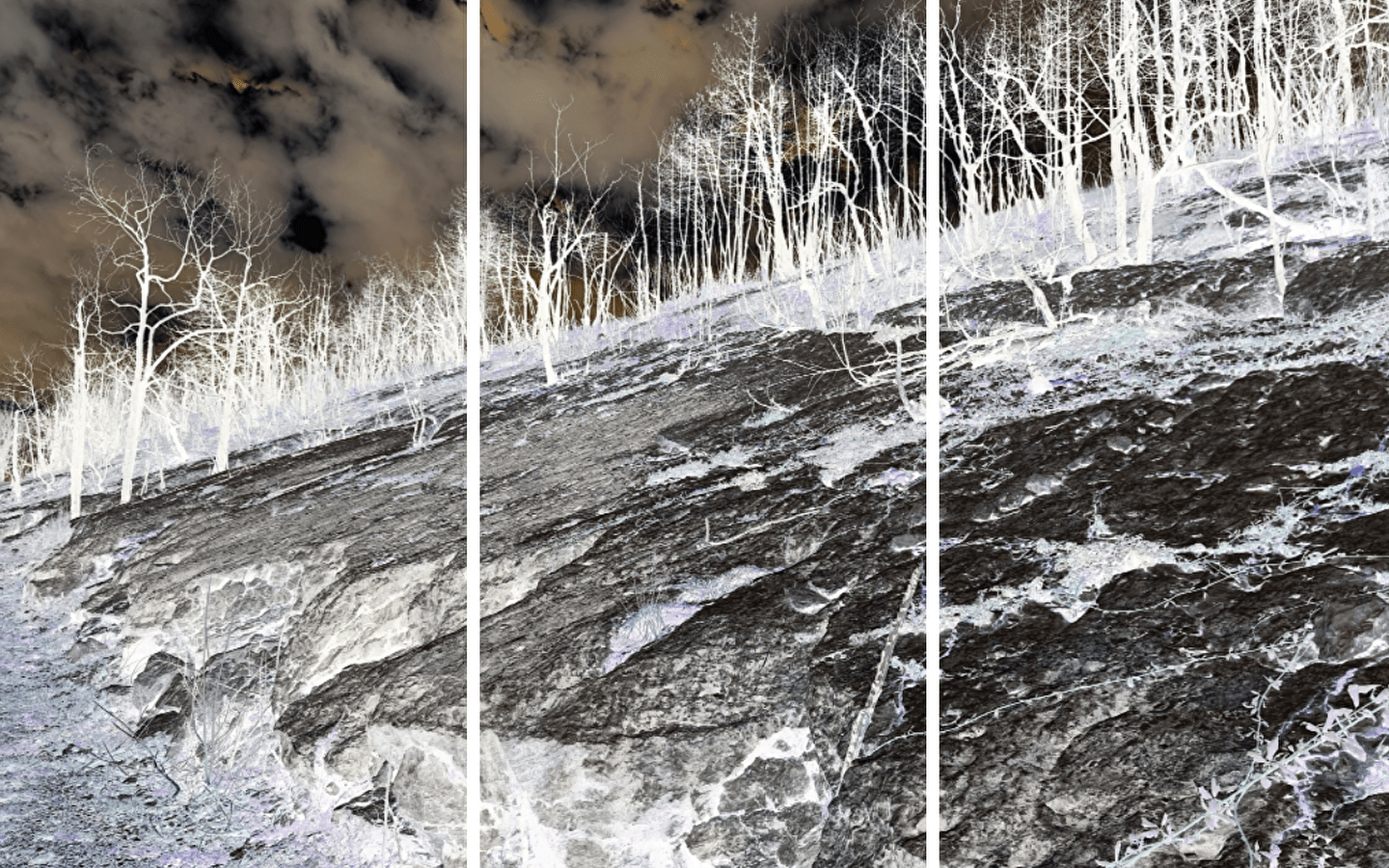 Exposition de Christelle Fillod - Artiste plasticienne 