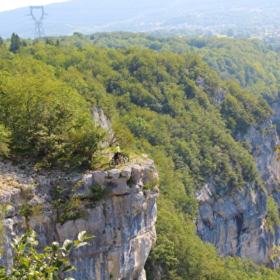 Parcours VTT 52 bleu - Les Crêtes de Charabotte - Espace FFC Ain Forestière