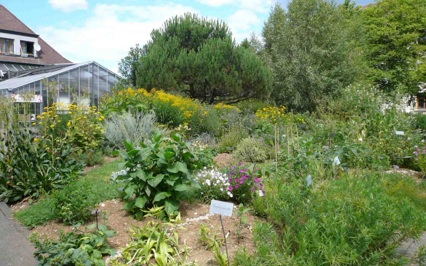 Le Jardin botanique