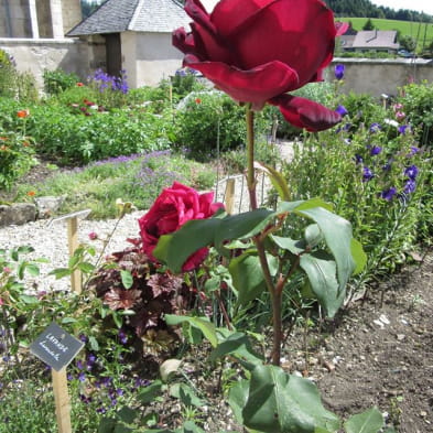 Jardin du curé