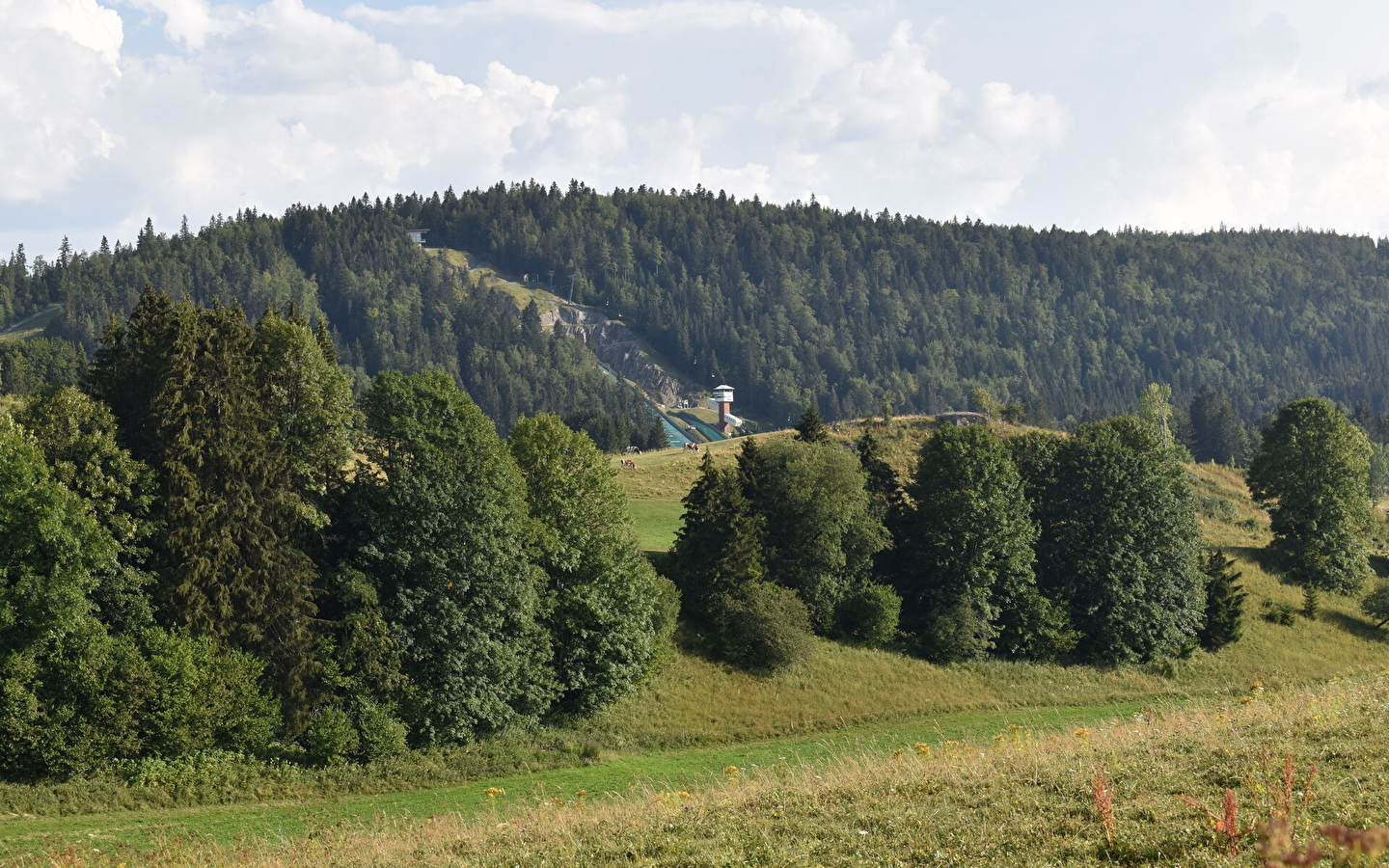 Cébriot