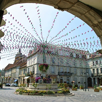 Visite d'Arbois