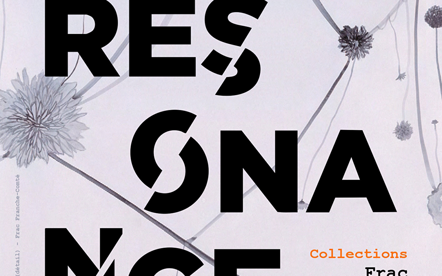 Musée de l'Abbaye - Exposition : ' Résonance '