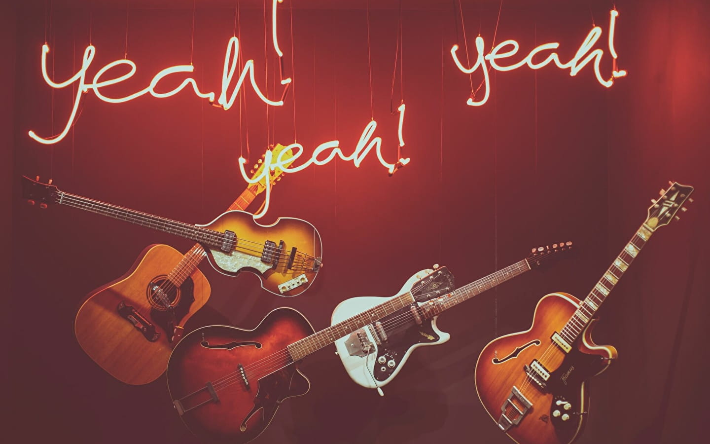 Black Forest Acoustic Compagny