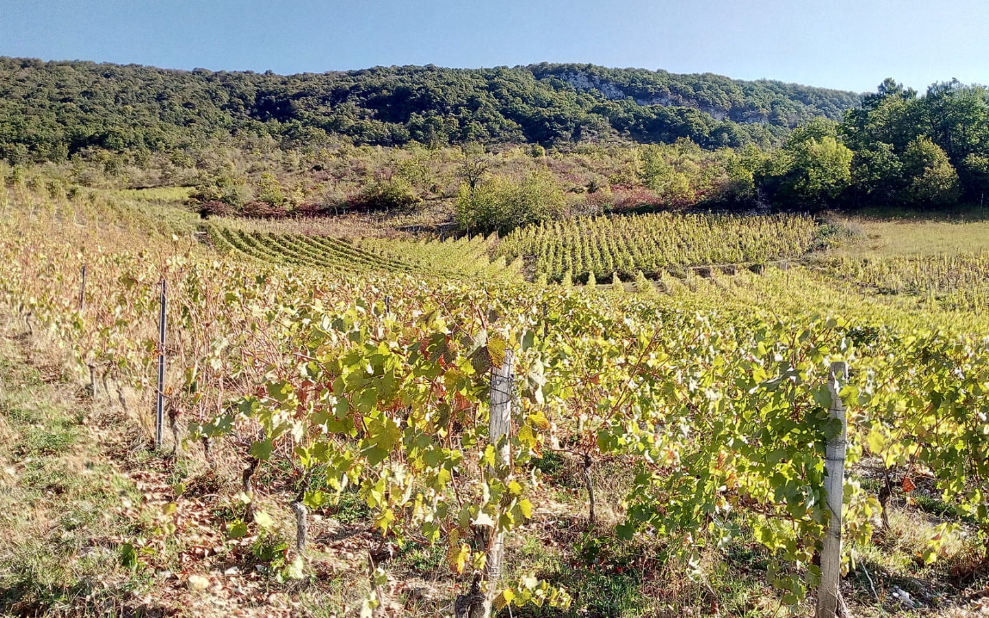 Caveau d'Oncin