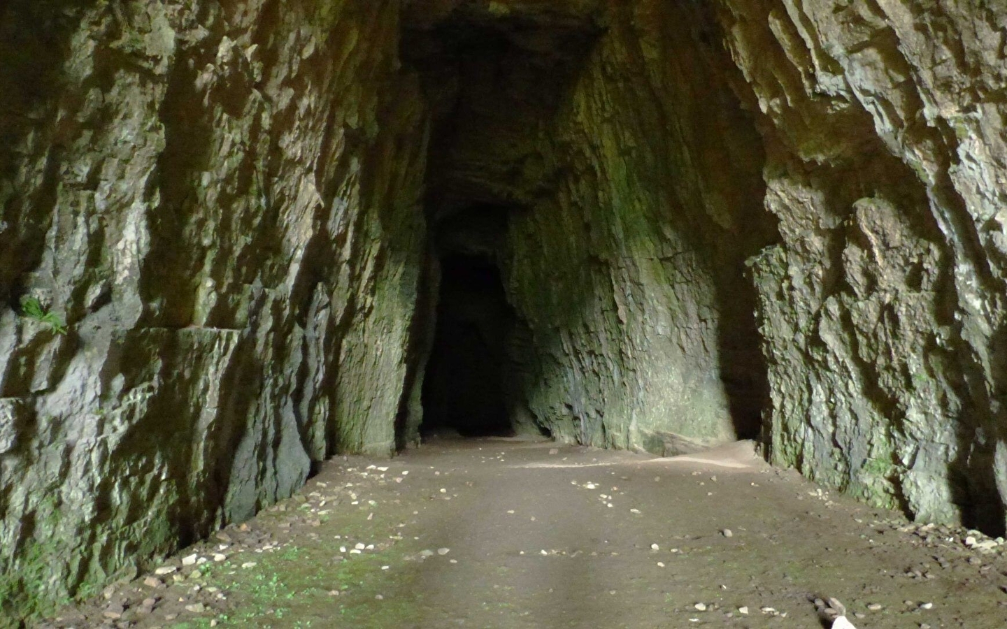 Le Château de la Roche (attente confirmation niveau)