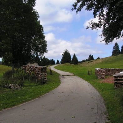 Le sentier du berger des vaches