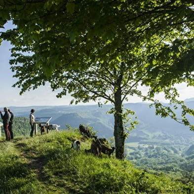 Aire de pique-nique du point de vue de Montmahoux