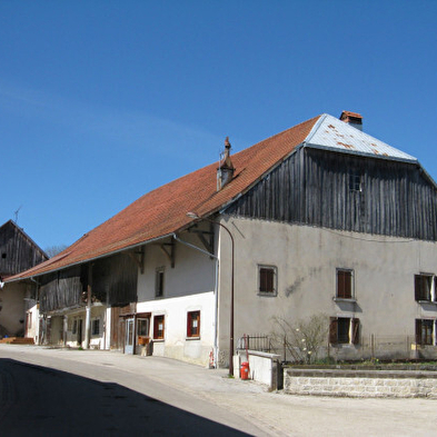 Le berger des vaches