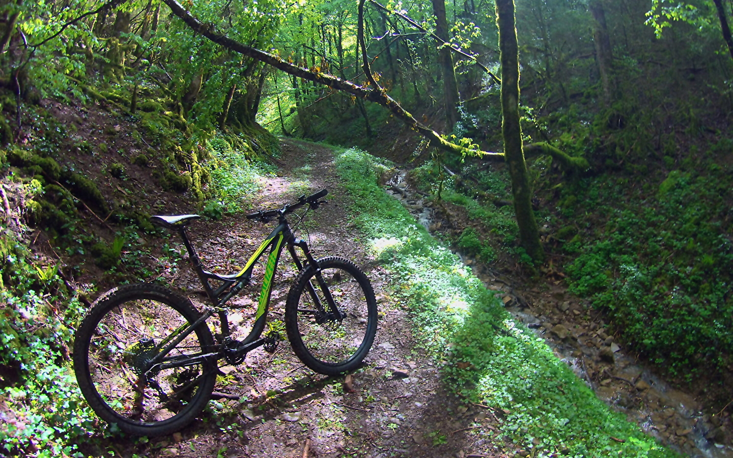Circuit VTT n°4 (rouge) - Meillonnas-Treffort-Cuisiat