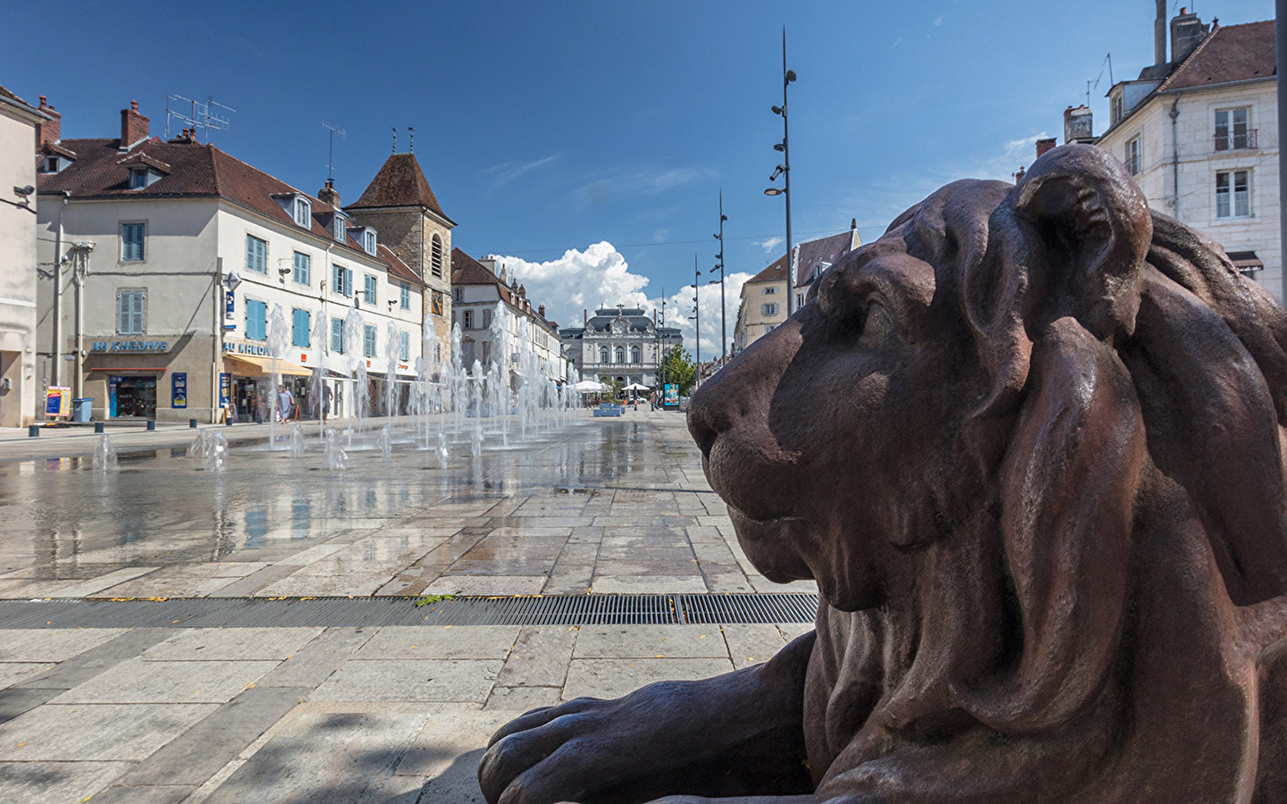Visite guidée du vieux Lons et de l'Hôtel-dieu